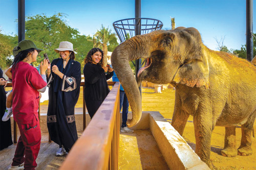 Riyadh Zoo inaugurato con oltre 1600 animali durante Musim Riyadh 2025