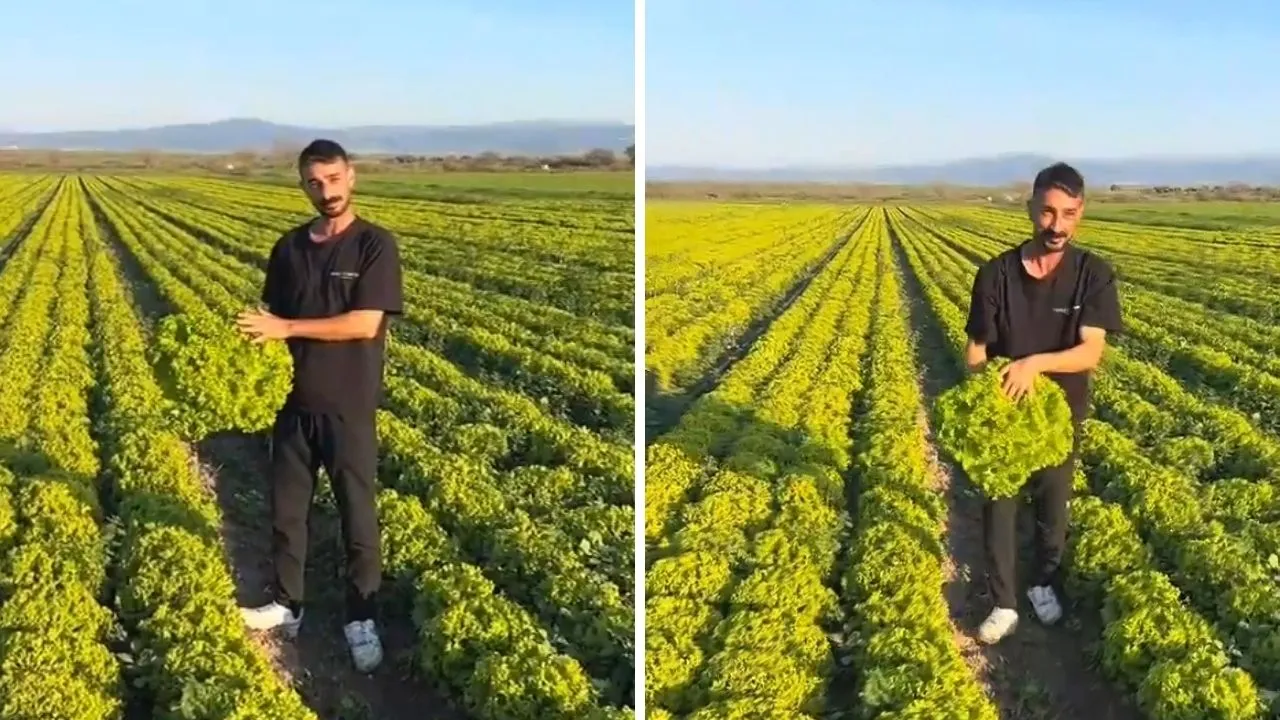 Agricoltore di Bergama respinge offerta di 2 lira per pelo di caprone: video virale e procedimento per stalking