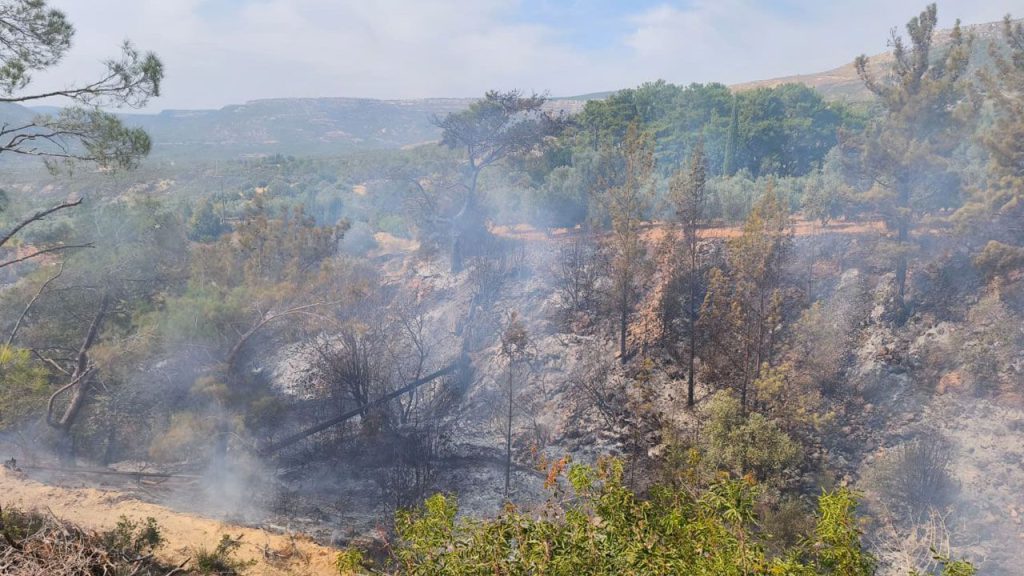 Incendio fatale a Mersin: la perdita di controllo del fuoco per bruciare erbacce causa la morte di un uomo