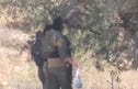 Soldati israeliani sequestrano olive ai palestinesi nella West Bank dopo l&#039;allontanamento dei raccoglitori da parte dell&#039;esercito