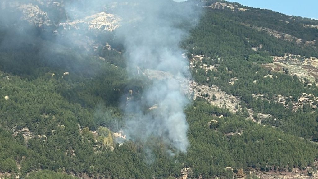 Incendio boschivo a Muğla: le fiamme sotto controllo grazie a rapida operazione di spegnimento