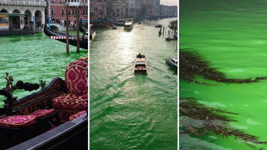 Venezia: attivisti per il clima esclusi dalla città dopo aver dipinto il Canal Grande di verde
