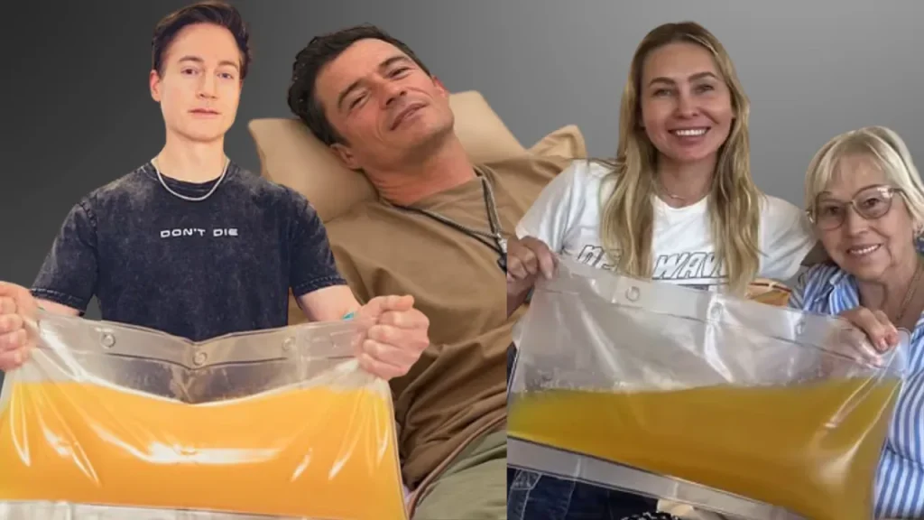 Plasmapheresi: nuovo metodo costoso per eliminare microplastiche dal sangue