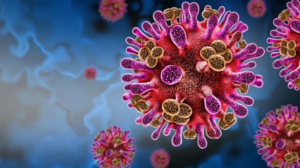 Minaccia globale: virus Henipavirus con mortalità fino all&#039;80% in fase di studio