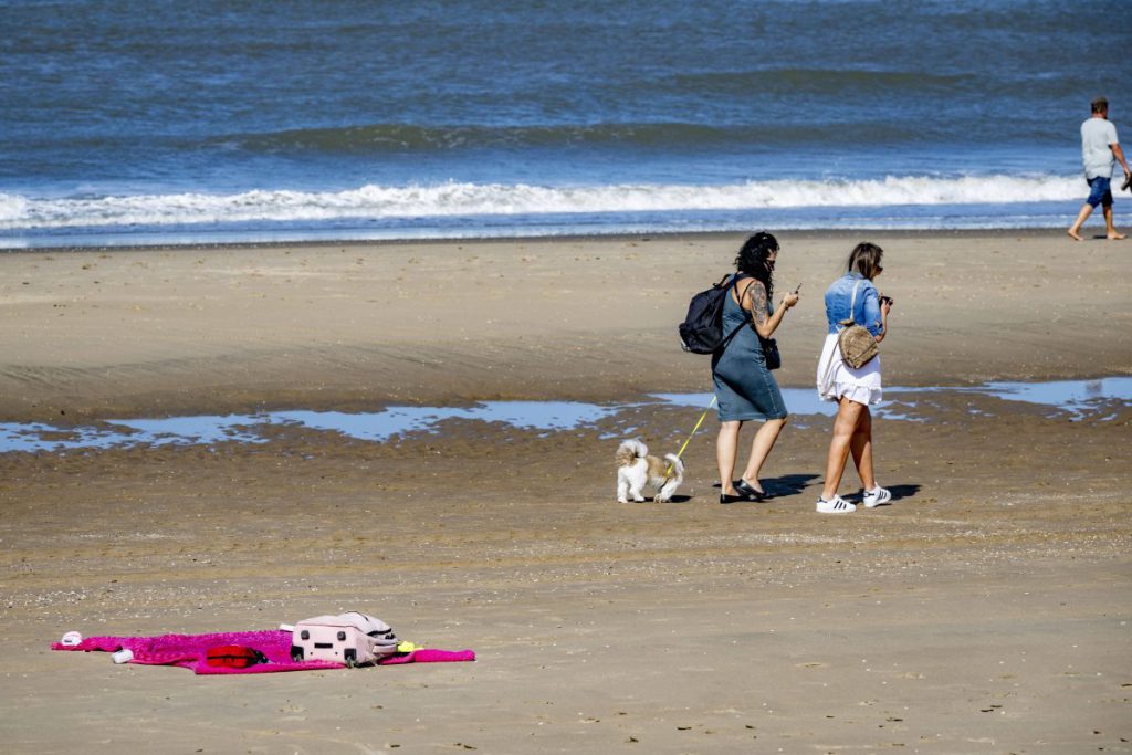 Vacanza al Mare Baltico a Rischio per i Proprietari di Cani: Cosa Sta Succedendo?