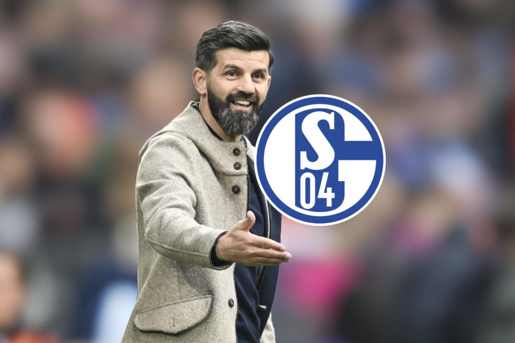 Novità a Schalke: l&#039;allenatore Miron Muslic fa qualcosa di interessante per i giovani giocatori