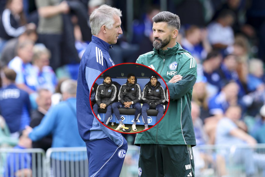 Schalke 04 Sulla Soglia di un Importante Trasferimento: Opportunità e Sfide nel Mercato di Gennaio