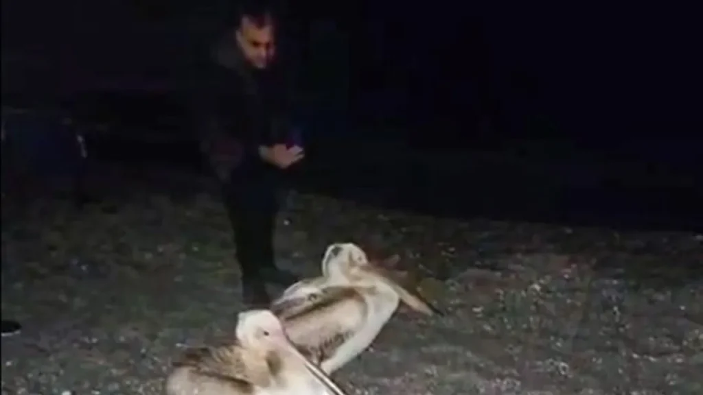 Richiesta di testo completo dell&#039;articolo per procedere con la traduzione