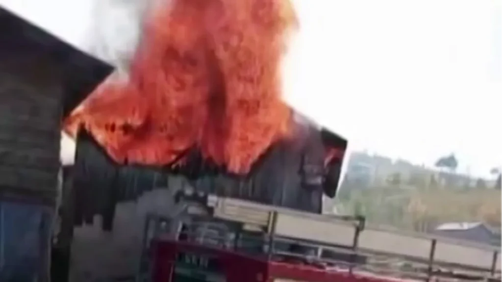 Assistenza: Mancata Ricezione del Testo dell&#039;Articolo