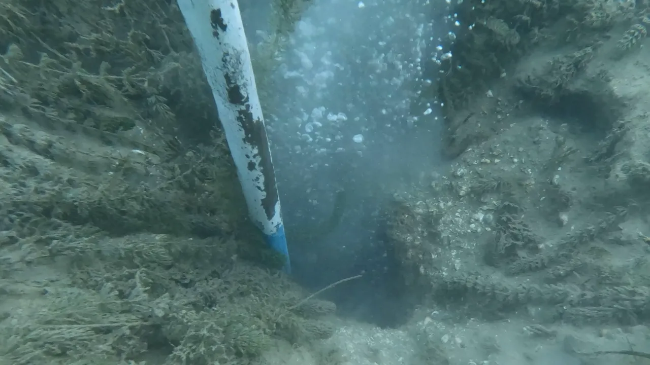 Bolle sul lago di Sapanca: non indicatore di terremoto, ma fuoriuscite naturali di acqua e gas
