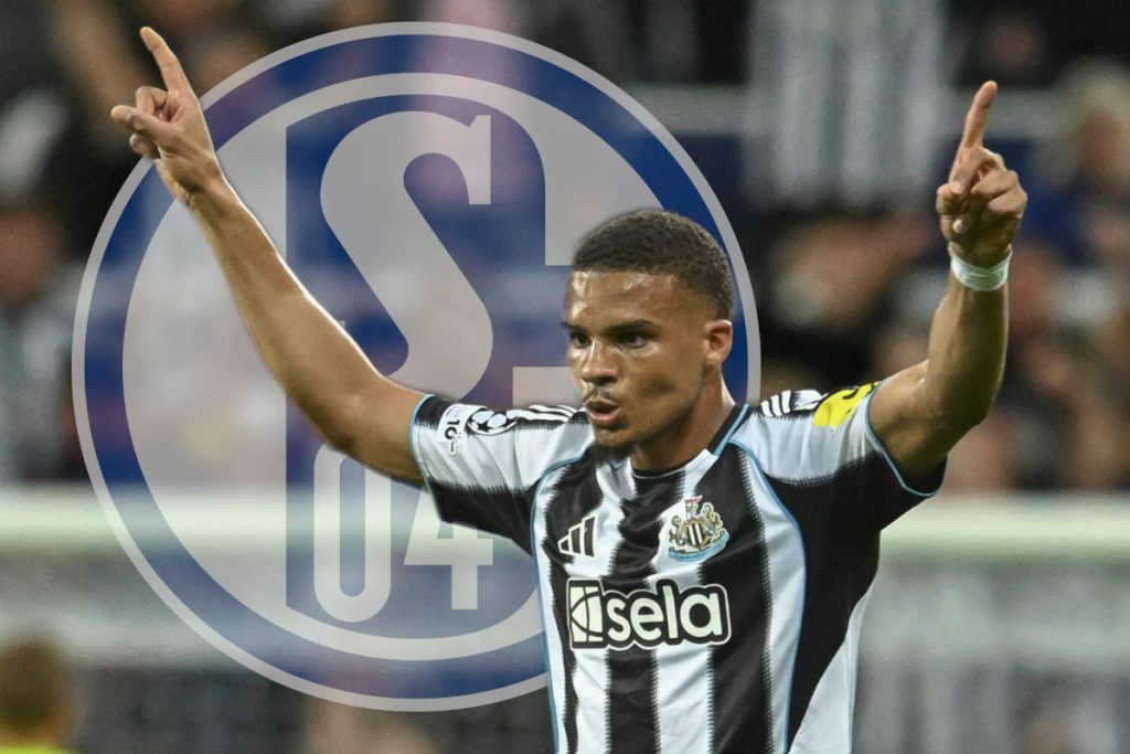 Ex Calciatore del FC Schalke 04 Conquista l&#039;Inghilterra: Storia di Successo e Impatto sul Calcio Tedesco