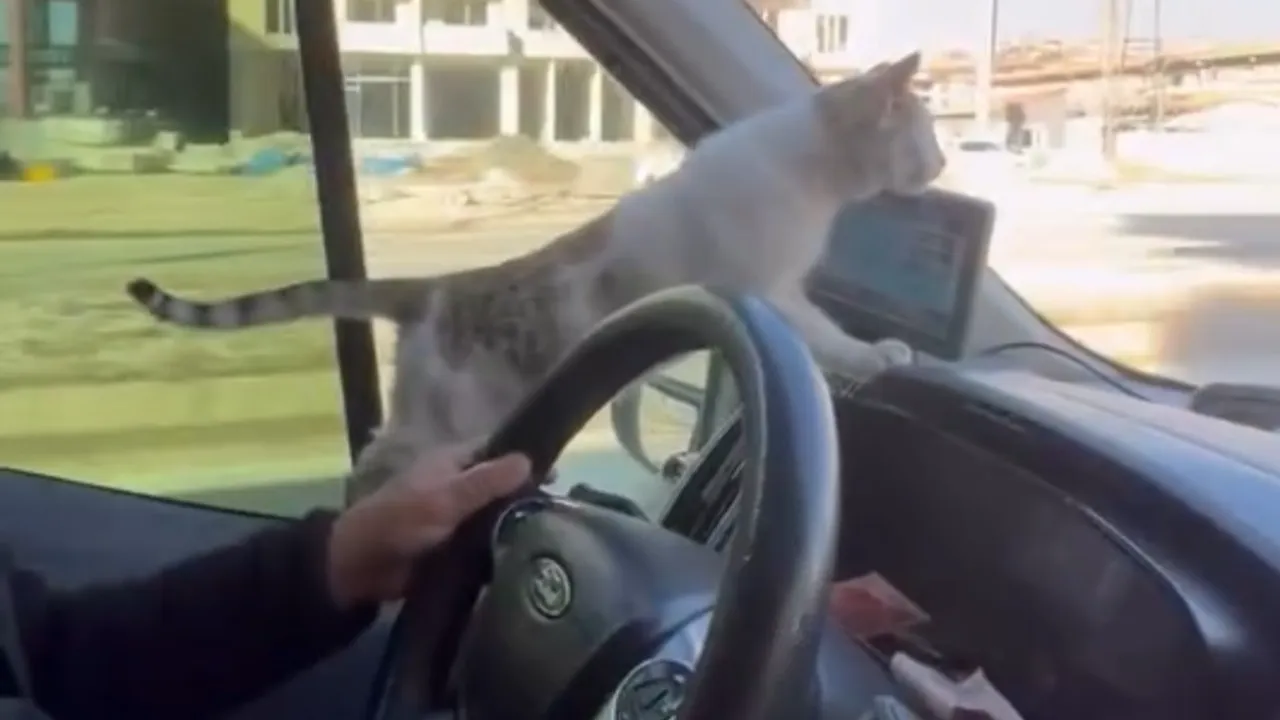 Conducente soccorre ospite tremante per il freddo, gesto applaudito