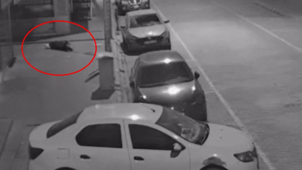 Tragedia a Kayseri: lite mortale per una questione personale sottolinea l&#039;importanza della risoluzione pacifica dei conflitti