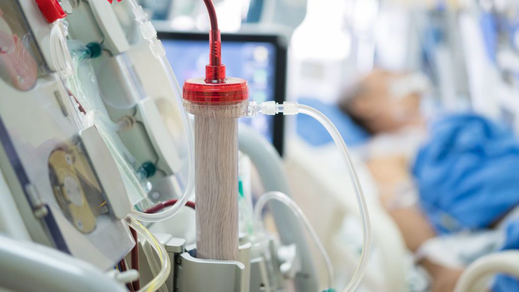 La Turchia ottiene risultati significativi nella lotta contro la talasemia grazie al trapianto di cellule staminali