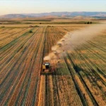 La Turchia è leader mondiale in 22 prodotti agricoli, tra cui nocciole, fichi e latte di capra