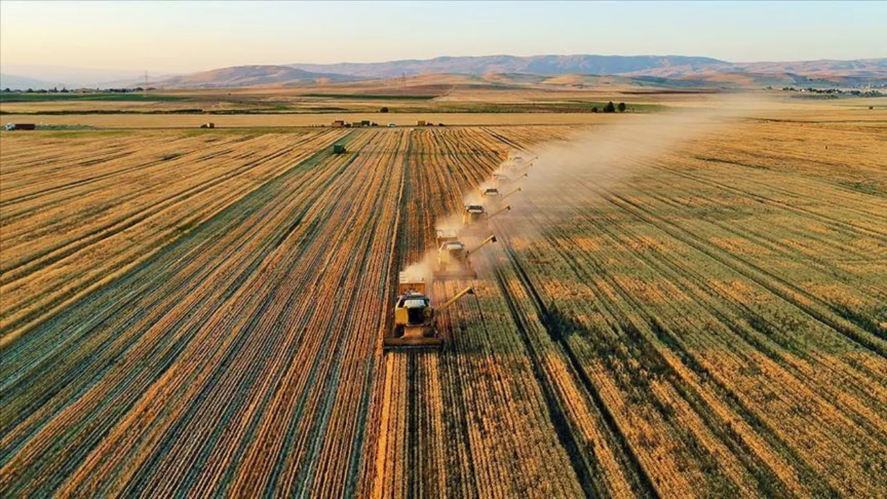 La Turchia è leader mondiale in 22 prodotti agricoli, tra cui nocciole, fichi e latte di capra