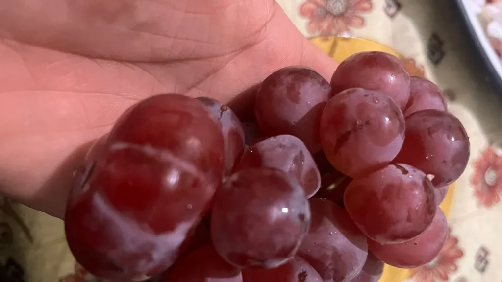 Richiesta di invio del testo originale per la revisione