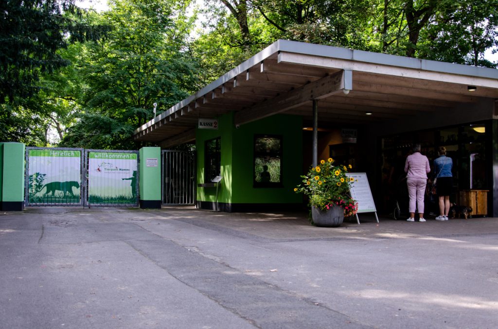 Situazione critica nel rifugio per animali della Renania Settentrionale-Vestfalia: il difficile compito dei curatori nel garantire il benessere degli animali