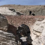 Richiesta di testo protetto da copyright: offerta di sintesi