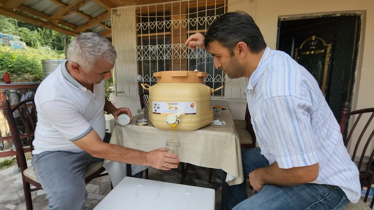 Miele di quercia di Yenice riconosciuto come indicazione geografica protetta dall'Unione Europea