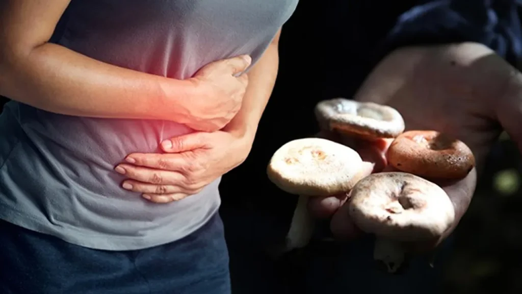 Turchia: oltre 100 specie di funghi tossici e 3.500 casi di avvelenamento all&#039;anno