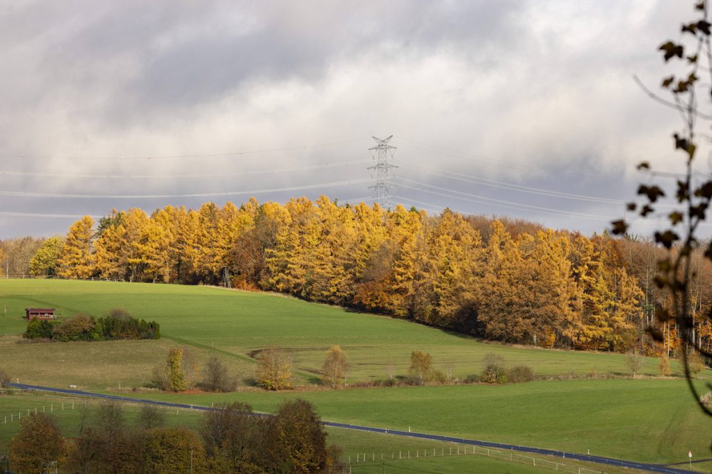 Cambiamento Climatico in Nord Reno-Westfalia: Impatto sulla Vita Quotidiana e sulle Attività all&#039;Aperto
