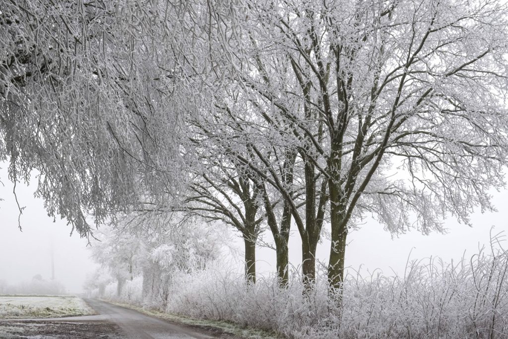 Cambiamento radicale del meteo in Nord Reno-Westfalia: da 20 gradi a neve in pochi giorni