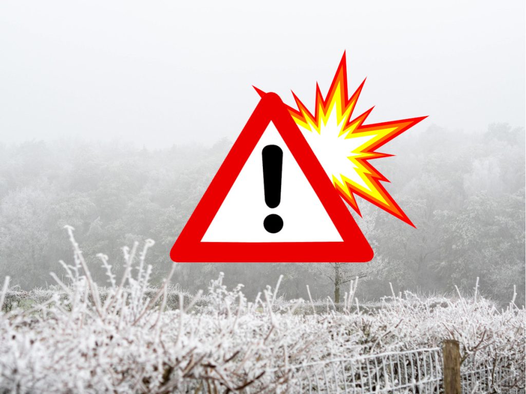 Primo Neve in Novembre: Le Previsioni Annunciano un Inverno Anticipato