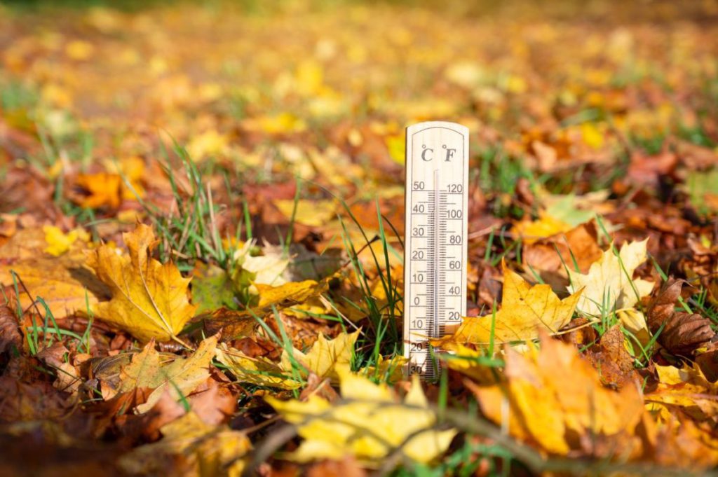 Previsioni Meteo per la Nord Reno-Westfalia: cosa aspettarsi nel mese di novembre