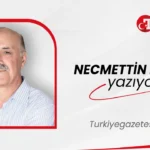 Richiesta di testo dell'articolo non ricevuta