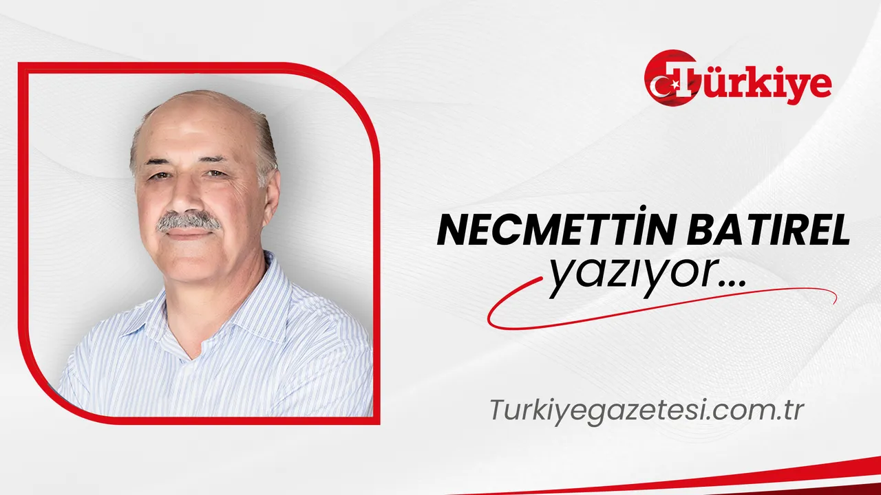 Richiesta di testo dell'articolo non ricevuta