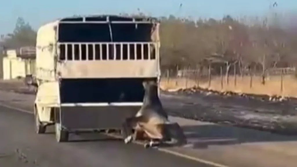 Richiesta di testo originale per procedere con la riscrittura