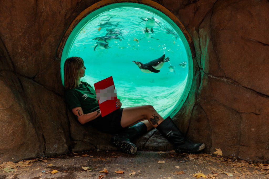 Nuova Attrazione Esotica nel NRW-Zoo: Una Scoperta Emozionante per i Visitatori